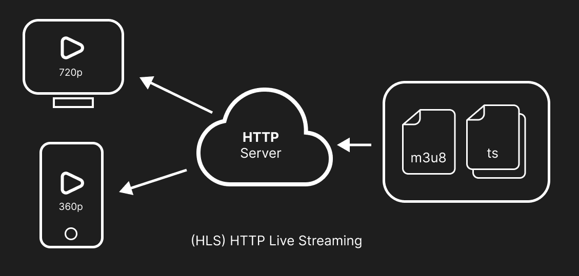Video Delivery System